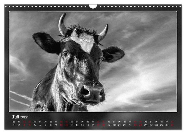 Produktbild: Tieren ins Gesicht geschaut (Wandkalender 2027 DIN A3 quer), CALVENDO Monatskalender