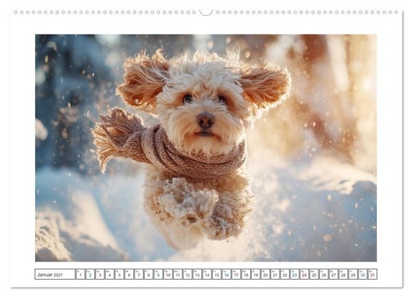 Produktbild: WUFF und WOW (Wandkalender 2027 DIN A2 quer), CALVENDO Monatskalender