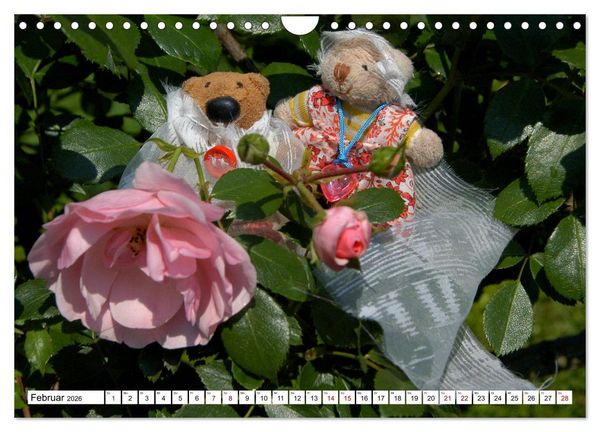 Produktbild: Die Hochzeitsb&auml;rchen (Wandkalender 2026 DIN A4 quer), CALVENDO Monatskalender