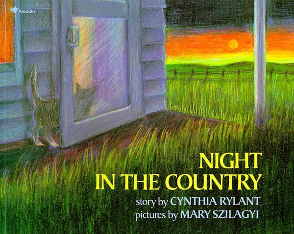Produktbild: Night in the Country