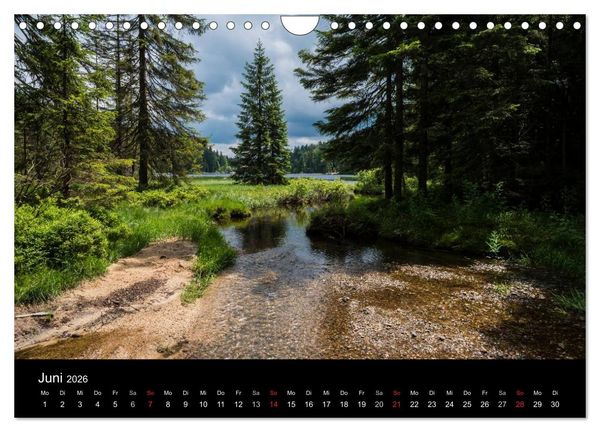 Produktbild: Bayerischer Wald (Wandkalender 2026 DIN A4 quer), CALVENDO Monatskalender