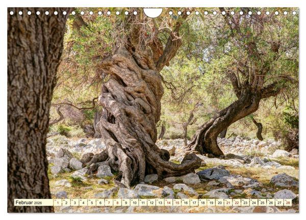Produktbild: Kroatien - Streifz&uuml;ge durch atemberaubende Kulturlandschaften (Wandkalender 2026 DIN A4 quer), CALVENDO Monatskalender