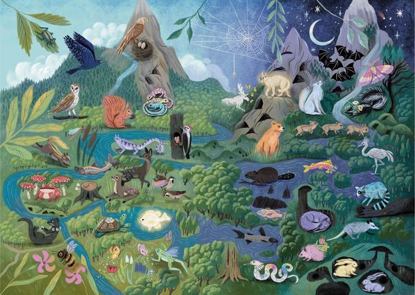 Produktbild: How to Spot a Magical Woodland Creature
