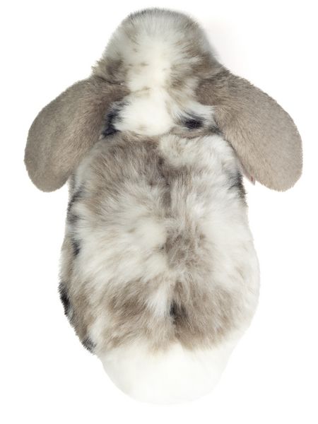 Produktbild: Teddy Hermann 937333 - Widderkaninchen sitzend grau-wei&szlig; gescheckt, Pl&uuml;schtier, 23 cm