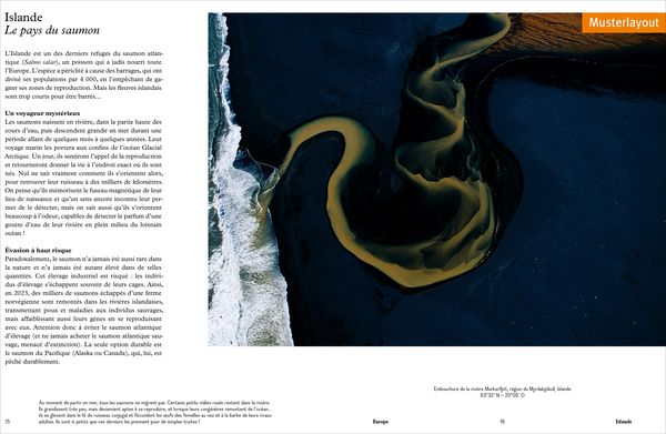 Produktbild: Das Wasser der Erde