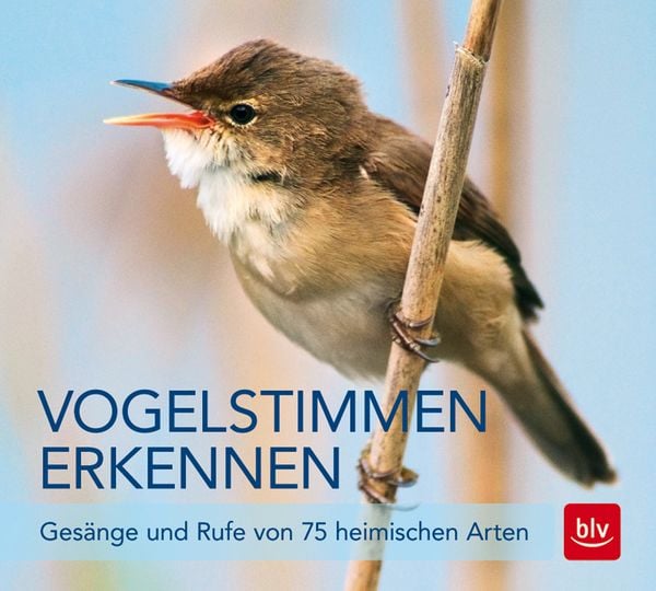 Vogelstimmen erkennen / CD, Paperback von Andreas Schulze, BLV ein Imprint von GRÄFE UND UNZER Verlag GmbH, 9783835416208