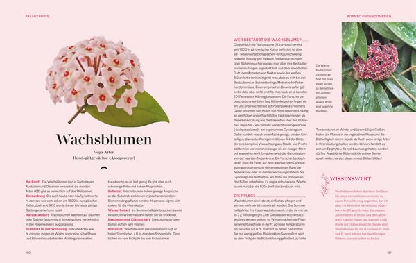 Produktbild: Die Welt in voller Bl&uuml;te: Eine botanische Entdeckungsreise zu den sch&ouml;nsten Bl&uuml;tenpflanzen der Welt