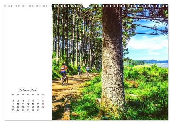 Produktbild: Fahrradtour. Radle dich frei und gesund! (Wandkalender 2026 DIN A3 quer), CALVENDO Monatskalender