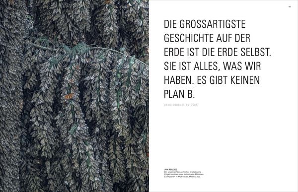 Produktbild: Ikonen der Fotografie