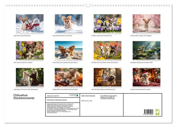 Produktbild: Chihuahua Gl&uuml;cksmomente (Wandkalender 2027 DIN A2 quer), CALVENDO Monatskalender