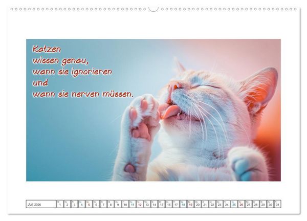 Produktbild: Katzenpower (hochwertiger Premium Wandkalender 2026 DIN A2 quer), Kunstdruck in Hochglanz