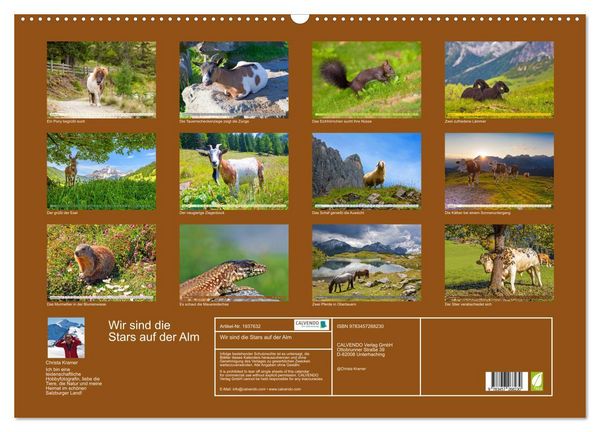 Produktbild: Wir sind die Stars auf der Alm (Wandkalender 2026 DIN A2 quer), CALVENDO Monatskalender