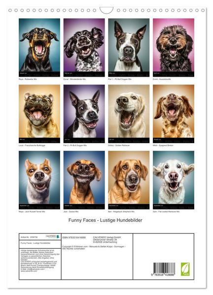 Produktbild: Funny Faces - Lustige Hundebilder (Wandkalender 2026 DIN A3 hoch), CALVENDO Monatskalender