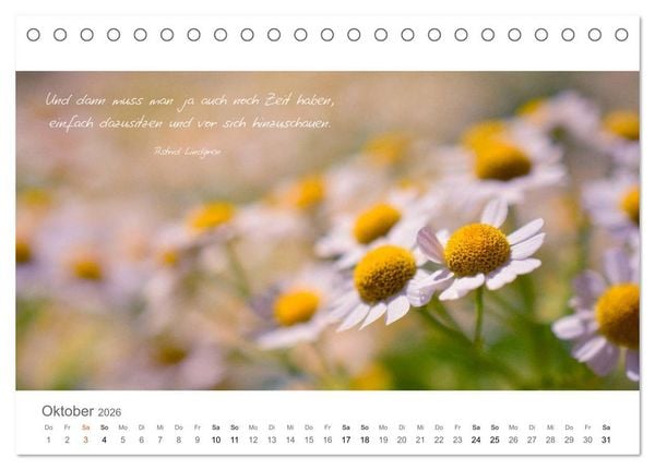 Produktbild: Rendezvous im Park (Tischkalender 2026 DIN A5 quer), CALVENDO Monatskalender
