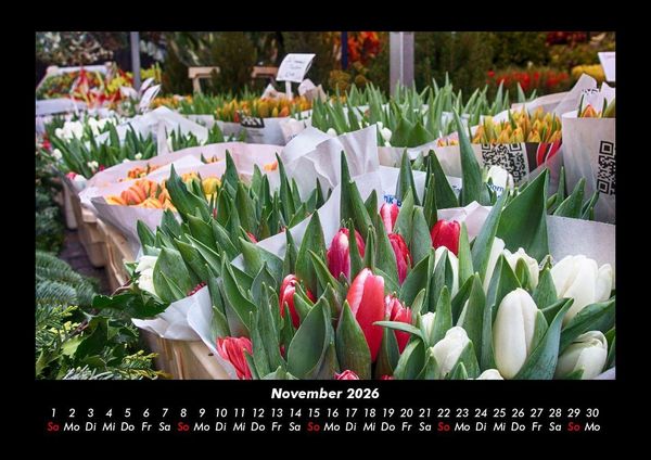 Produktbild: Blumenzauber 2026 Fotokalender DIN A3