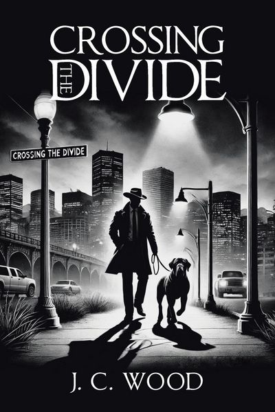 Produktbild: Crossing the Divide
