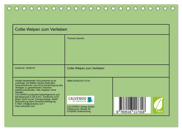 Produktbild: Collie Welpen zum Verlieben (Tischkalender 2026 DIN A5 quer), CALVENDO Monatskalender