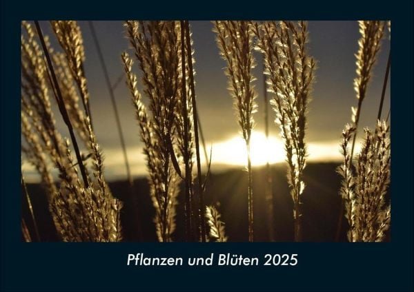 Produktbild: Pflanzen und Bl&uuml;ten 2025 Fotokalender DIN A4
