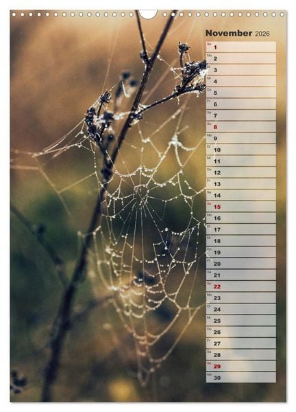 Produktbild: Kalender - Natur im Detail (Wandkalender 2026 DIN A3 hoch), CALVENDO Monatskalender