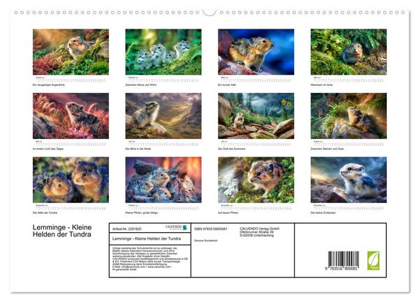 Produktbild: Lemminge - Kleine Helden der Tundra (hochwertiger Premium Wandkalender 2027 DIN A2 quer), Kunstdruck in Hochglanz