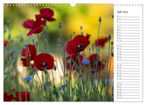 Produktbild: Blumenfreude Terminkalender (Wandkalender 2026 DIN A3 quer), CALVENDO Monatskalender