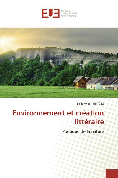 Produktbild: Environnement et cr&eacute;ation litt&eacute;raire