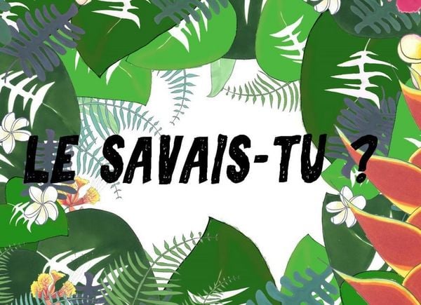 Produktbild: Le savais-tu?
