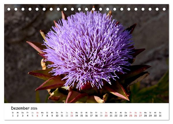 Produktbild: Die Marken, Impressionen aus dem unbekannten Italien (Tischkalender 2026 DIN A5 quer), CALVENDO Monatskalender