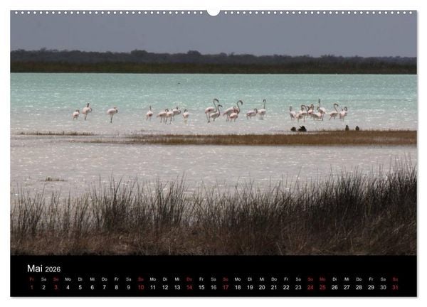 Produktbild: Abenteuer Madagaskar (hochwertiger Premium Wandkalender 2026 DIN A2 quer), Kunstdruck in Hochglanz