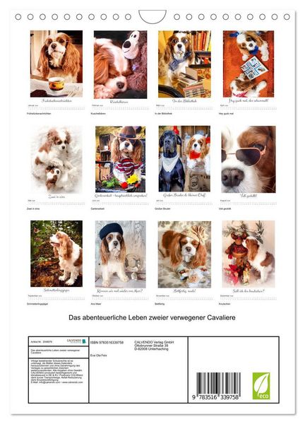 Produktbild: Das abenteuerliche Leben zweier verwegener Cavaliere (Wandkalender 2026 DIN A4 hoch), CALVENDO Monatskalender