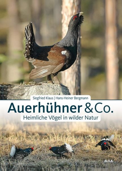 Produktbild: Auerh&uuml;hner & Co.