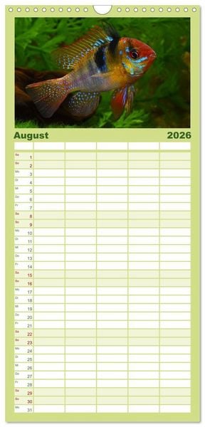 Produktbild: Familienplaner 2026 - Beliebte Fische der Welt mit 5 Spalten (Wandkalender, 21 x 45 cm) CALVENDO