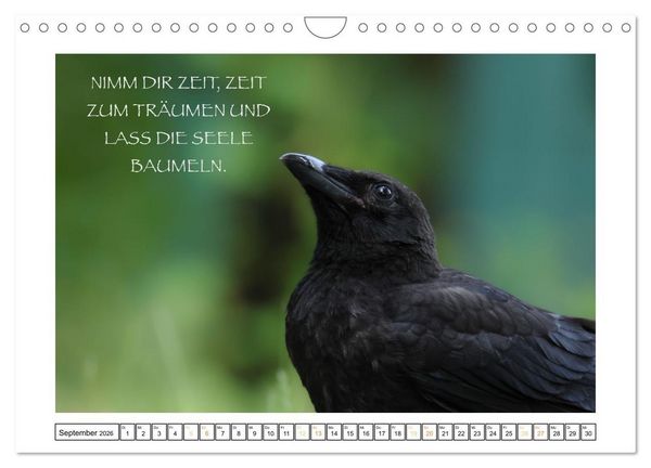 Produktbild: Spruch verliebt (Wandkalender 2026 DIN A4 quer), CALVENDO Monatskalender
