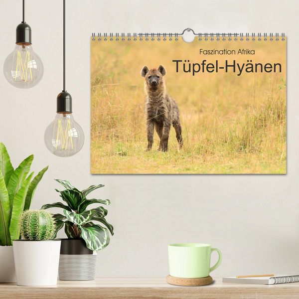 Produktbild: Faszination Afrika: T&uuml;pfel-Hy&auml;nen (Wandkalender 2026 DIN A4 quer), CALVENDO Monatskalender
