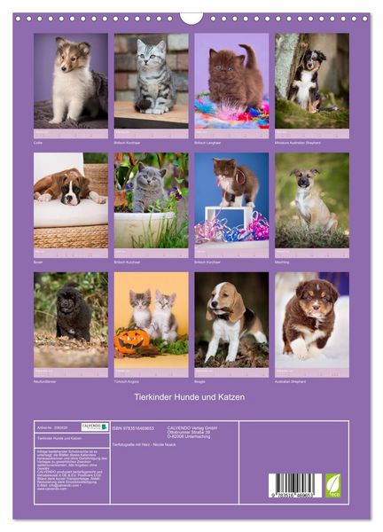 Produktbild: Tierkinder Hunde und Katzen (Wandkalender 2026 DIN A3 hoch), CALVENDO Monatskalender
