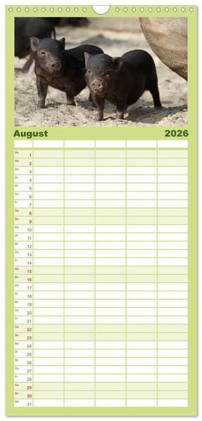 Produktbild: Familienplaner 2026 - Schwein gehabt! mit 5 Spalten (Wandkalender, 21 x 45 cm) CALVENDO