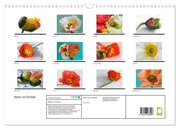 Produktbild: Mohn im Portr&auml;t (Wandkalender 2026 DIN A3 quer), CALVENDO Monatskalender