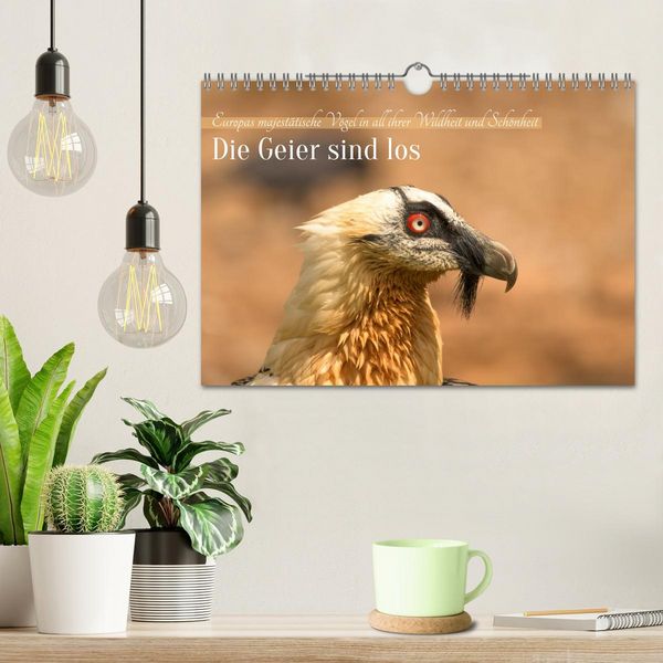 Produktbild: Die Geier sind los (Wandkalender 2026 DIN A4 quer), CALVENDO Monatskalender
