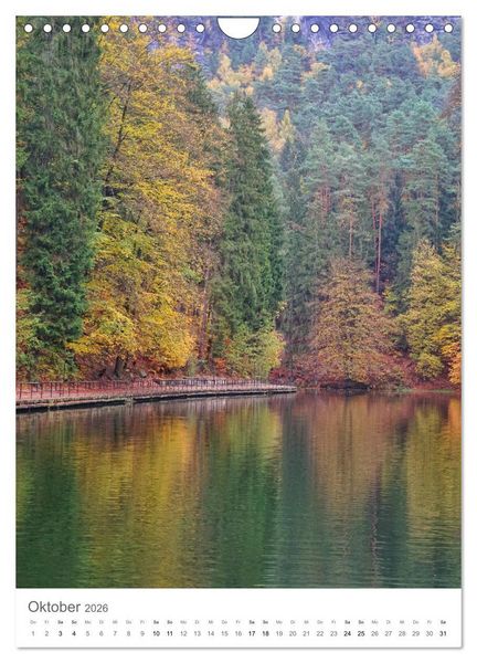 Produktbild: Wald - bezaubernde Landschaften (Wandkalender 2026 DIN A4 hoch), CALVENDO Monatskalender