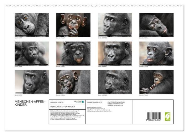 Produktbild: MENSCHEN-AFFEN-KINDER (hochwertiger Premium Wandkalender 2027 DIN A2 quer), Kunstdruck in Hochglanz