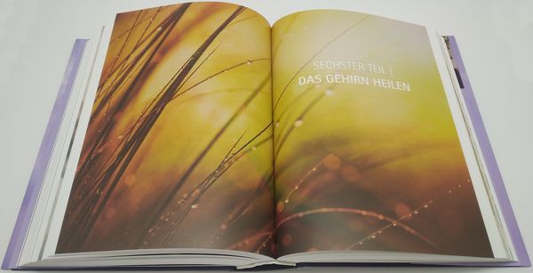 Produktbild: Heile dein Gehirn &ndash; Das Basisbuch