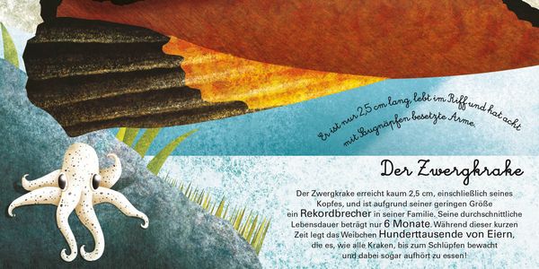 Produktbild: Das gro&beta;e Buch der Seetiere. Das kleine Buch der Seetiere