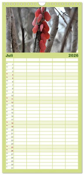 Produktbild: Familienplaner 2026 - Tiere Madagaskars mit 5 Spalten (Wandkalender, 21 x 45 cm) CALVENDO