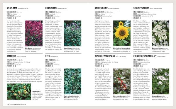 Produktbild: Gr&uuml;nes Gartenwissen. &Ouml;kologisch g&auml;rtnern