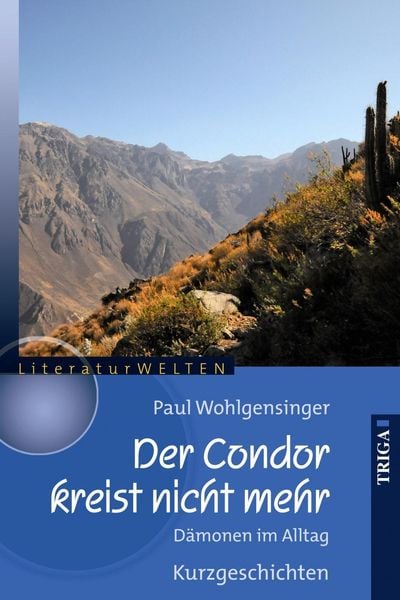Produktbild: Der Condor kreist nicht mehr