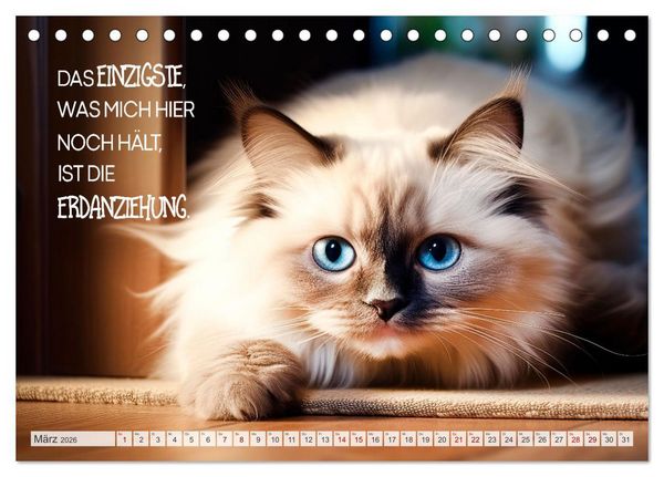 Produktbild: S&uuml;&szlig;e Katzen und coole Spr&uuml;che (Tischkalender 2026 DIN A5 quer), CALVENDO Monatskalender