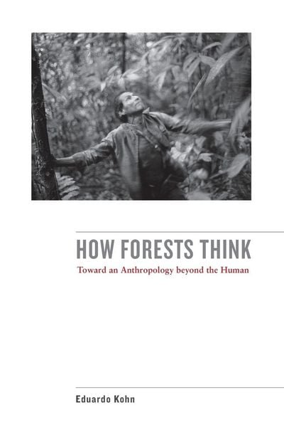 Produktbild: How Forests Think