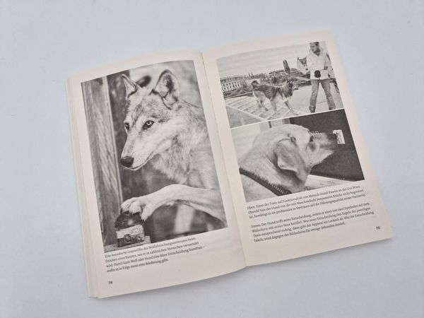 Produktbild: Warum Hunde uns zu besseren Menschen machen