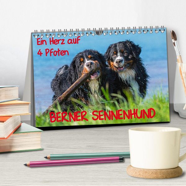 Produktbild: Ein Herz auf 4 Pfoten - Berner Sennenhund (Tischkalender 2026 DIN A5 quer), CALVENDO Monatskalender