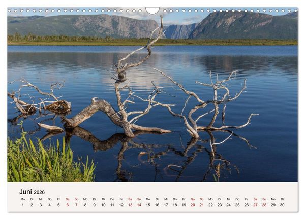 Produktbild: Neufundland Impressionen 2026 (Wandkalender 2026 DIN A3 quer), CALVENDO Monatskalender